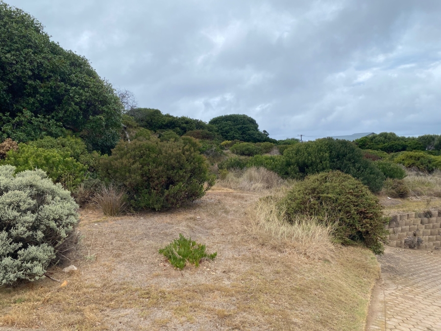 0 Bedroom Property for Sale in Jongensfontein Western Cape